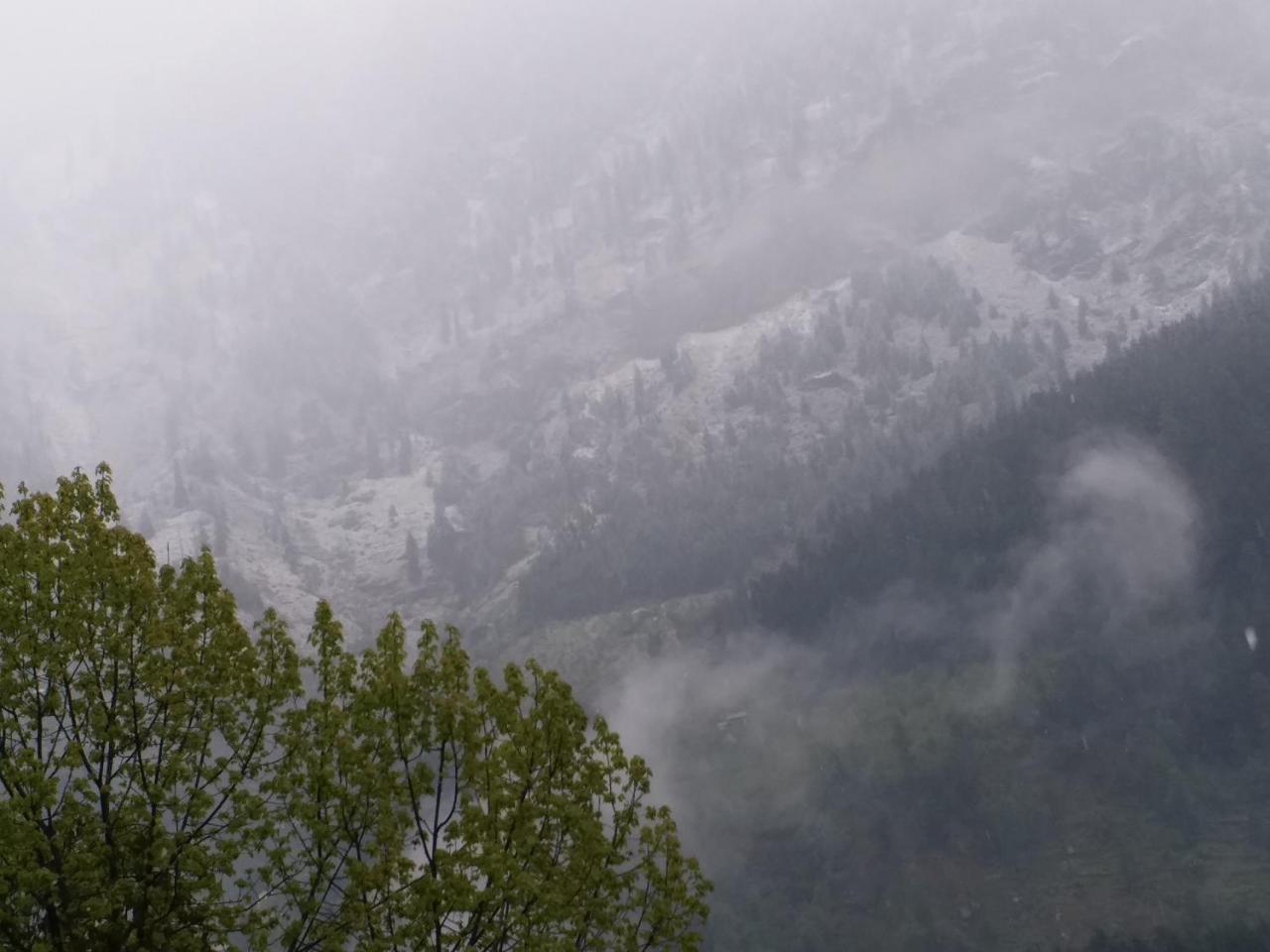 Hotel Seven Hills Manali Esterno foto