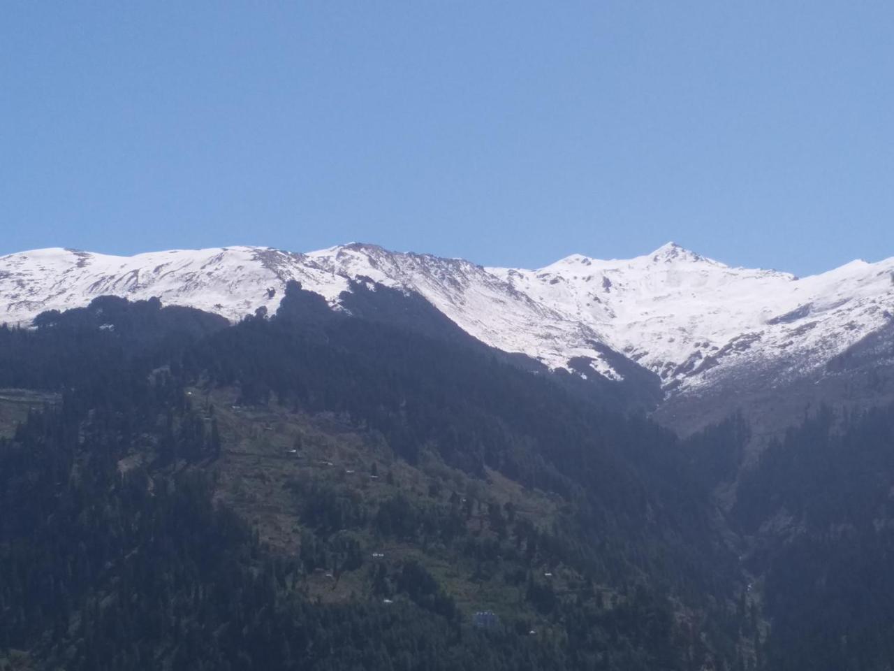 Hotel Seven Hills Manali Esterno foto